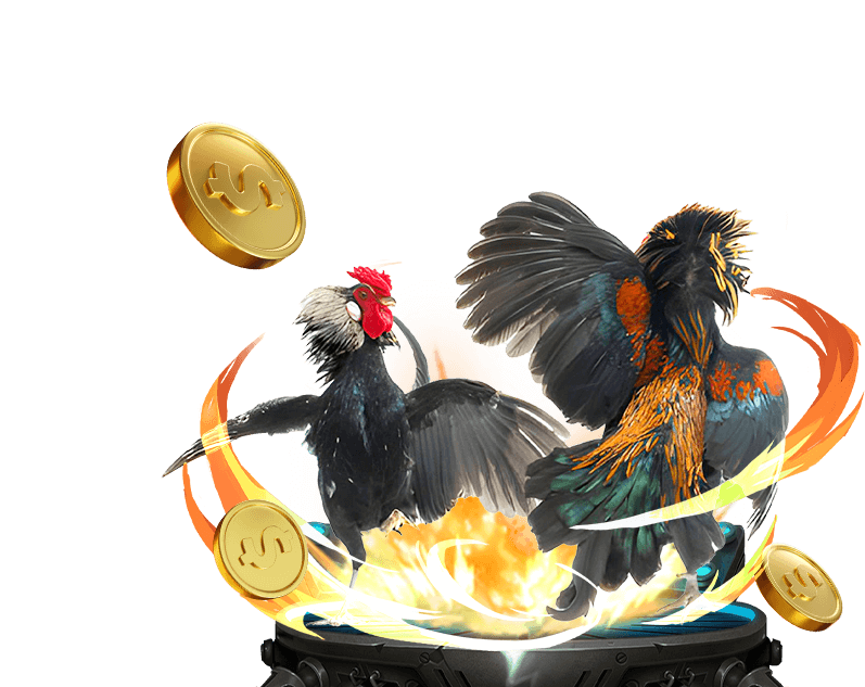 Game Đá gà trực tiếp Jun88 Phiên Bản 1